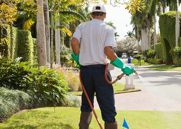 About Bruneau ID Pest Control